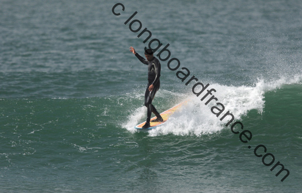 longboard_surftech (1)