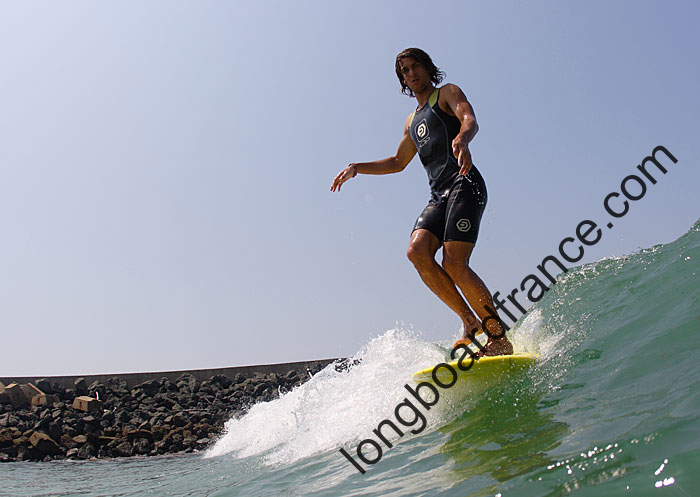 robin_anglet